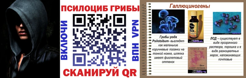 купить наркотик  Воскресенск  kraken ССЫЛКА  Псилоцибиновые грибы GOLDEN TEACHER 